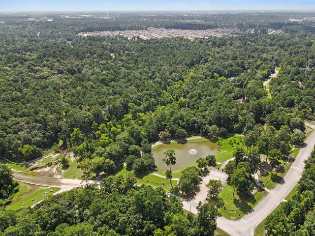7393 Teaswood Drive, Conroe, TX 77304