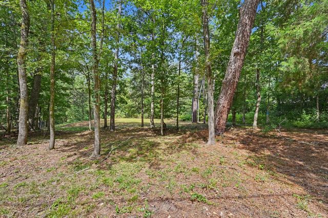 7393 Teaswood Drive, Conroe, TX 77304