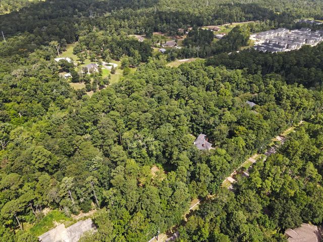 7393 Teaswood Drive, Conroe, TX 77304