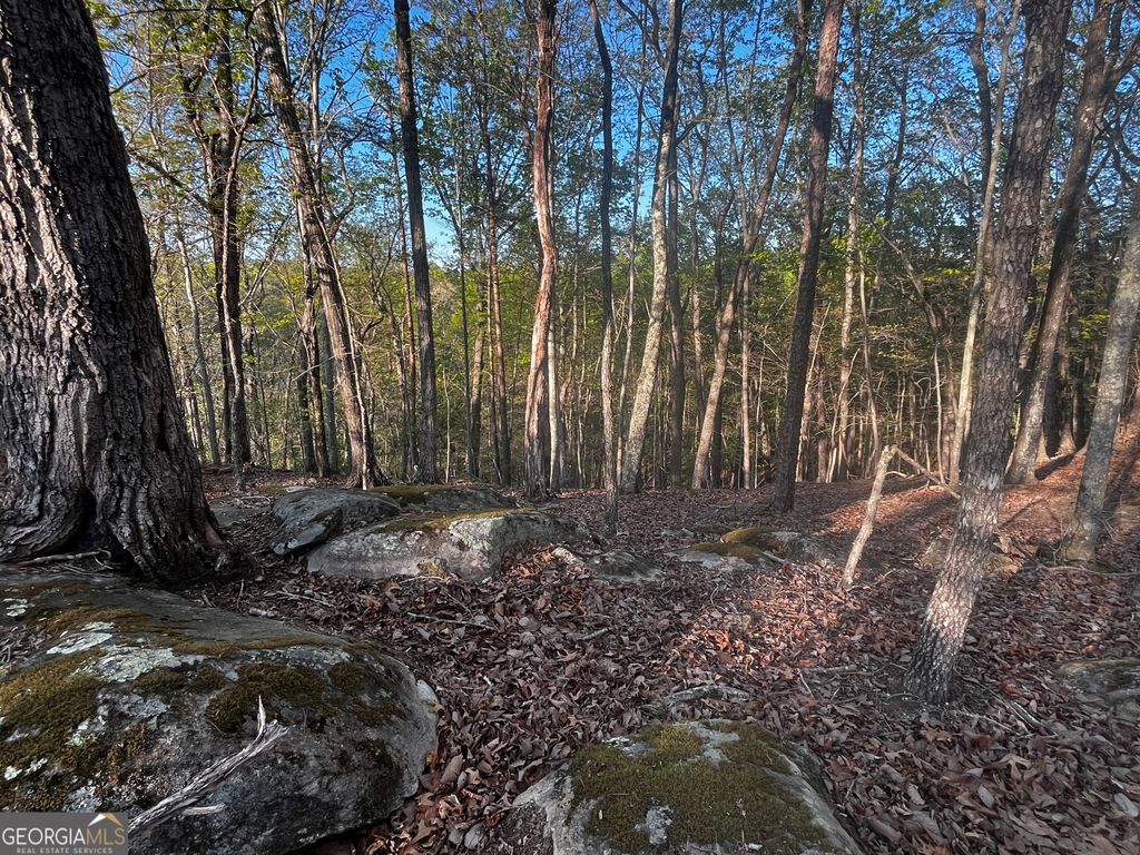 140 Lakeview Walk, Baldwin, GA 30511 — photo 2