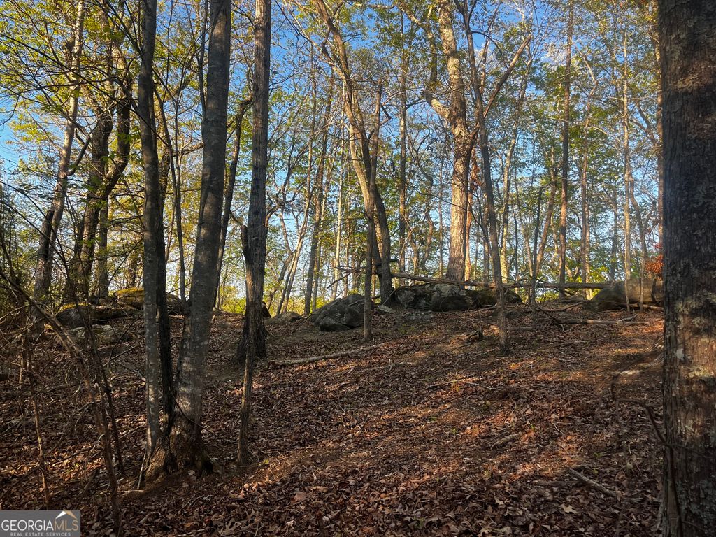 140 Lakeview Walk, Baldwin, GA 30511 — photo 3