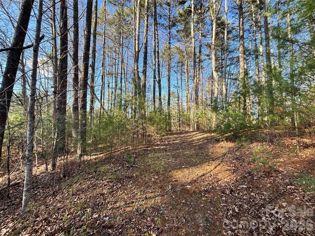 11 Wildlife Drive 11, Clyde, NC 28721