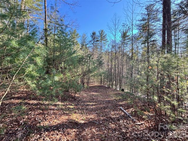 11 Wildlife Drive 11, Clyde, NC 28721
