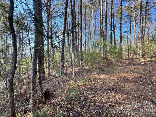 11 Wildlife Drive 11, Clyde, NC 28721