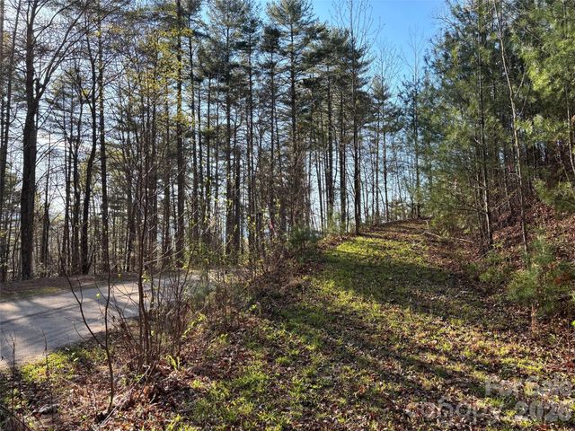 11 Wildlife Drive 11, Clyde, NC 28721