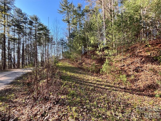 11 Wildlife Drive 11, Clyde, NC 28721