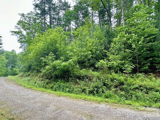 11 Wildlife Drive 11, Clyde, NC 28721
