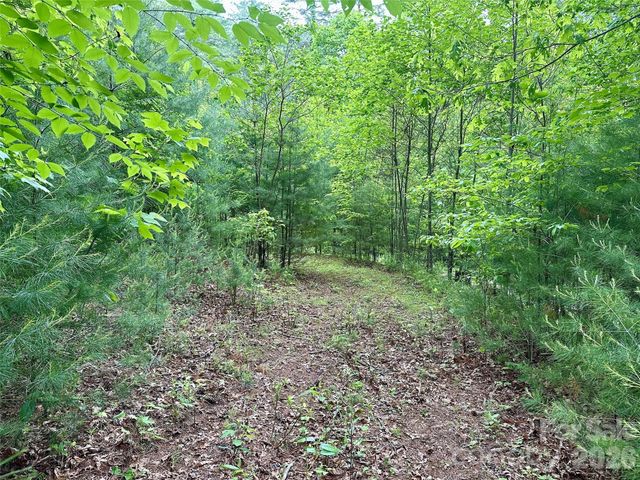 11 Wildlife Drive 11, Clyde, NC 28721