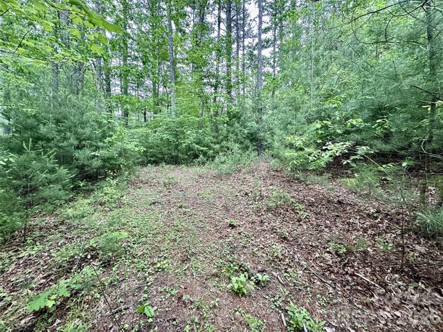 11 Wildlife Drive 11, Clyde, NC 28721