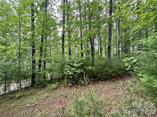 11 Wildlife Drive 11, Clyde, NC 28721