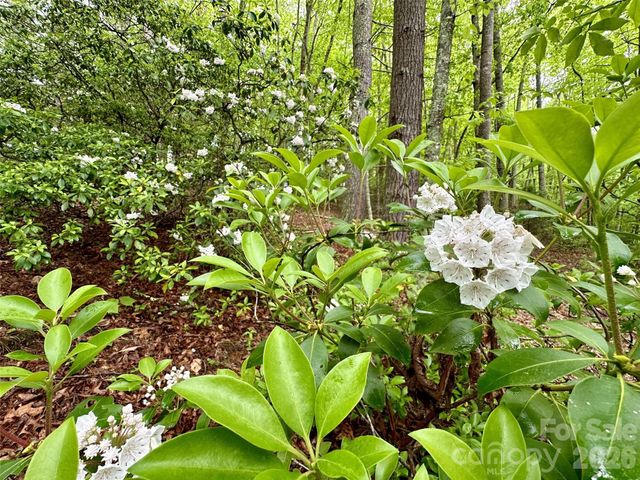 11 Wildlife Drive 11, Clyde, NC 28721