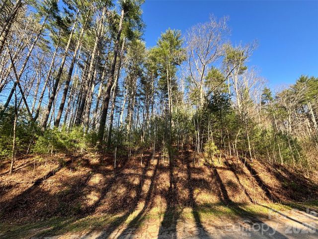 11 Wildlife Drive 11, Clyde, NC 28721