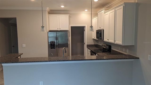 1384 WHITE FOX RUN, Lutz, FL 33549
