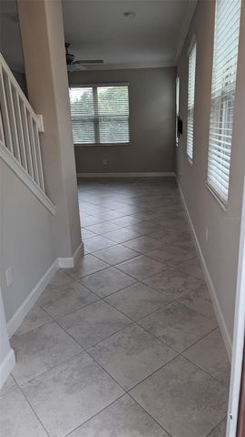 1384 WHITE FOX RUN, Lutz, FL 33549
