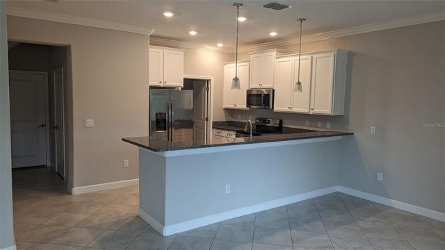 1384 WHITE FOX RUN, Lutz, FL 33549
