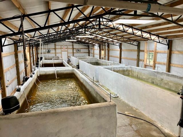 87 Eagle Creek Farm Drive, Dawsonville, GA 30534