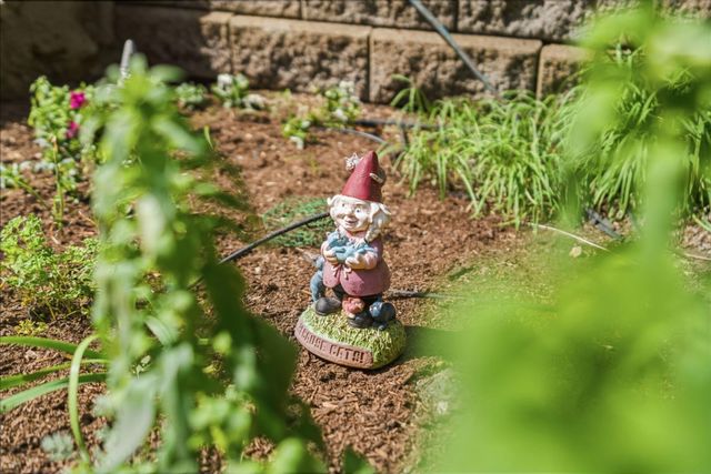 10931 Sequoia Avenue, Felton, CA 95018