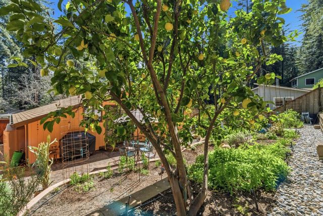 10931 Sequoia Avenue, Felton, CA 95018