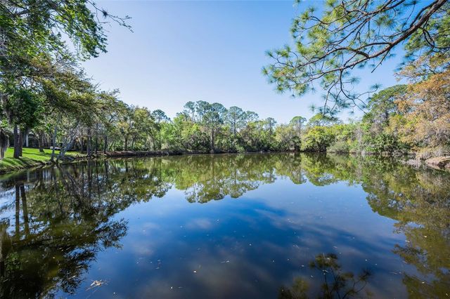 4738 PEBBLE BROOK DRIVE, Oldsmar, FL 34677