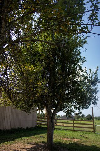 0 Clara Mathis Rd, Spring Hill, TN 37174