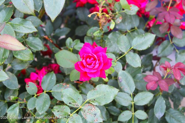 3331 E Daryls Way, Charlotte, MI 48813