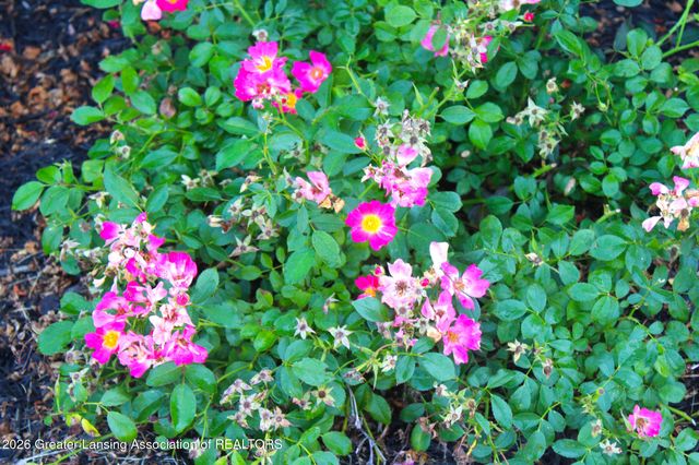 3331 E Daryls Way, Charlotte, MI 48813