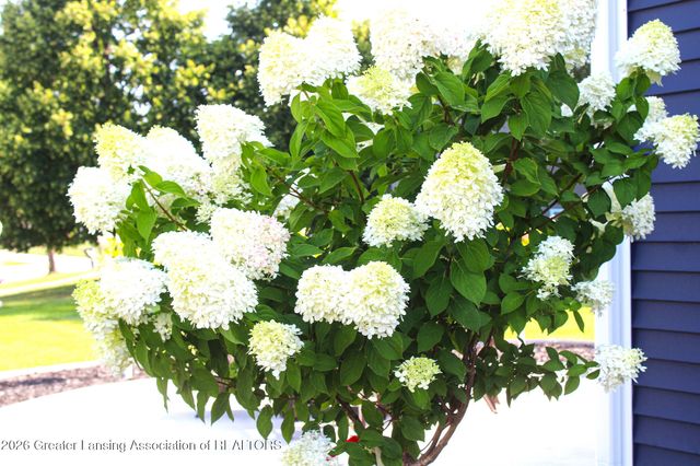 3331 E Daryls Way, Charlotte, MI 48813