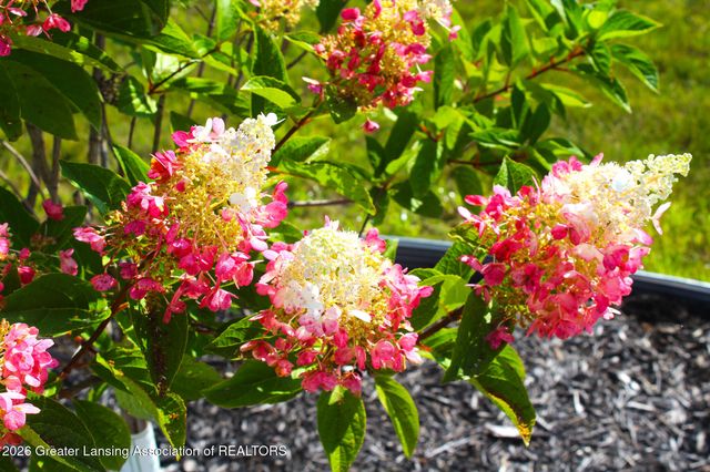 3331 E Daryls Way, Charlotte, MI 48813