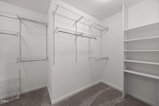 1736 Fern Hollow Trail, Wake Forest, NC 27587