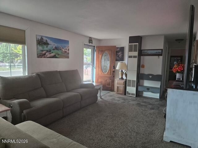 1285 Franklin Lane, Gardnerville, NV 89460