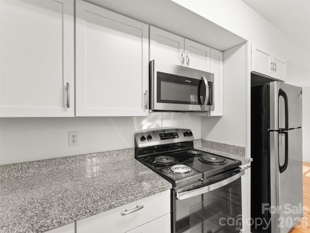 13 Castle Street, Asheville, NC 28803