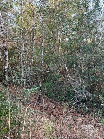 0 Jimmy Faulkner Drive, Spanish Fort, AL 36527
