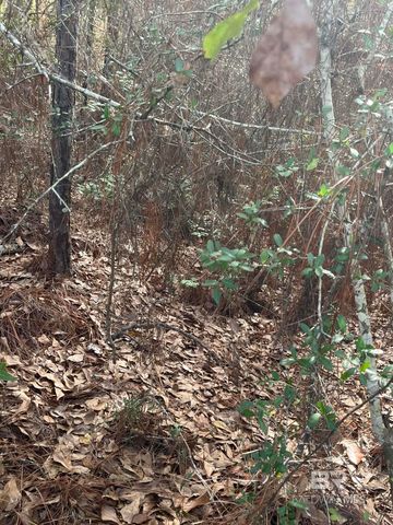 0 Jimmy Faulkner Drive, Spanish Fort, AL 36527