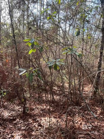 0 Jimmy Faulkner Drive, Spanish Fort, AL 36527
