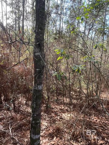 0 Jimmy Faulkner Drive, Spanish Fort, AL 36527