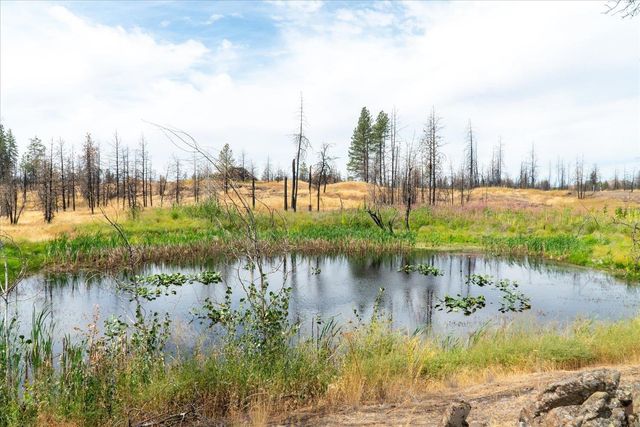 9910 S Lakehurst Dr, Medical Lake, WA 99022