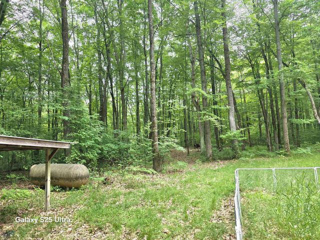 10135 Woods Road, Gladwin, MI 48624