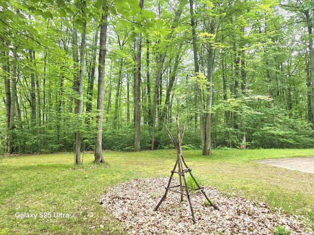10135 Woods Road, Gladwin, MI 48624