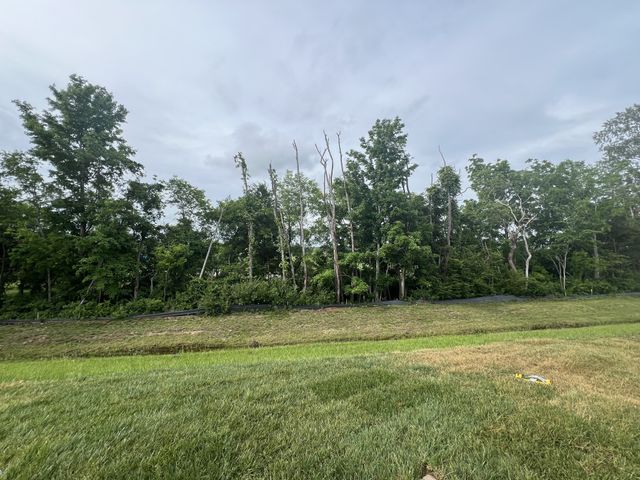 4154 Dream Beetle Loop, Rockvale, TN 37153