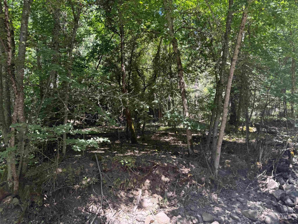 187 Deer Creek Rd, Orofino, ID 83544