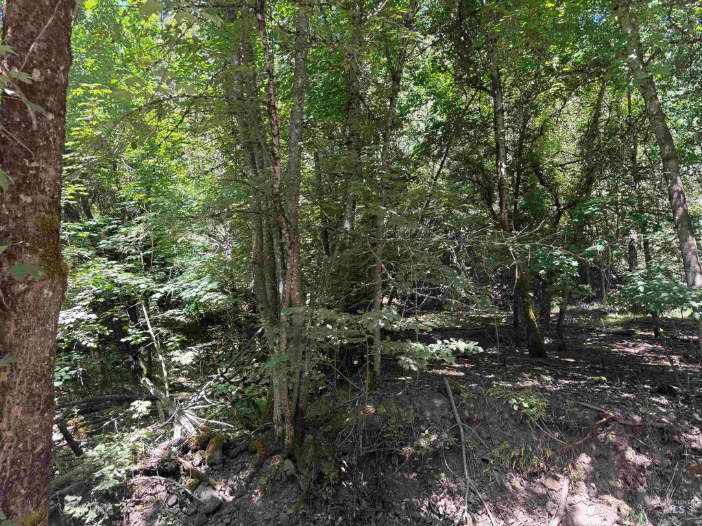 187 Deer Creek Rd, Orofino, ID 83544 photo 2