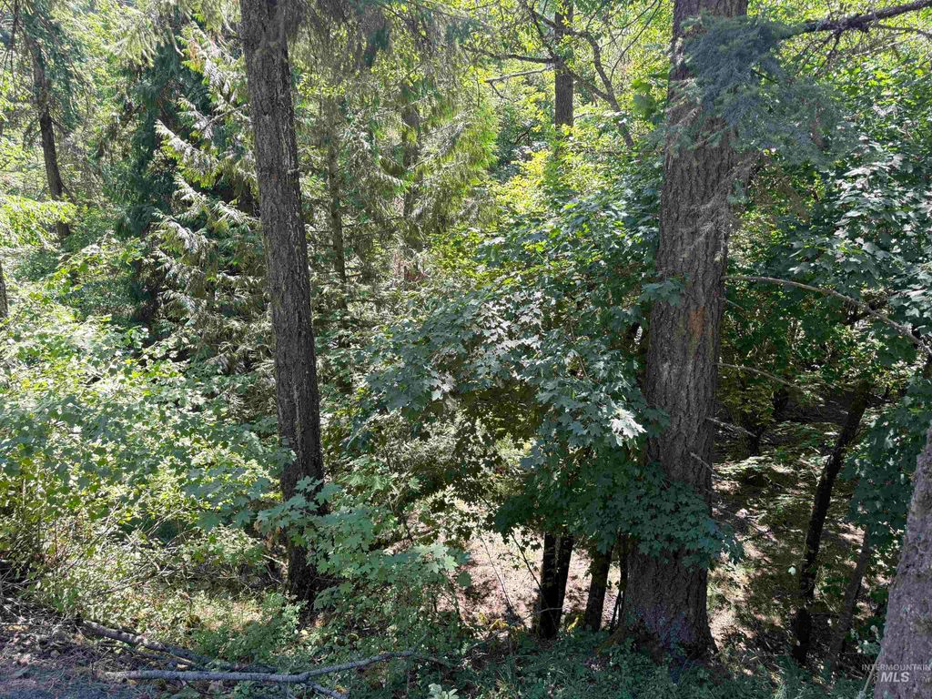 187 Deer Creek Rd, Orofino, ID 83544 photo 3