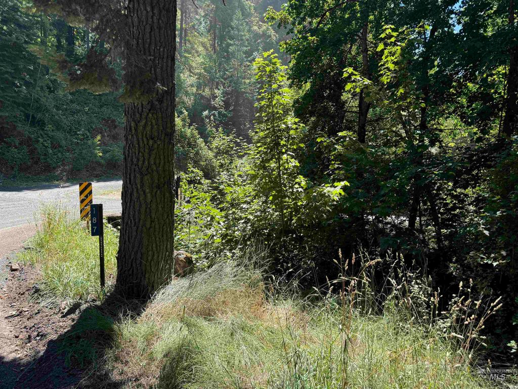 187 Deer Creek Rd, Orofino, ID 83544 photo 5