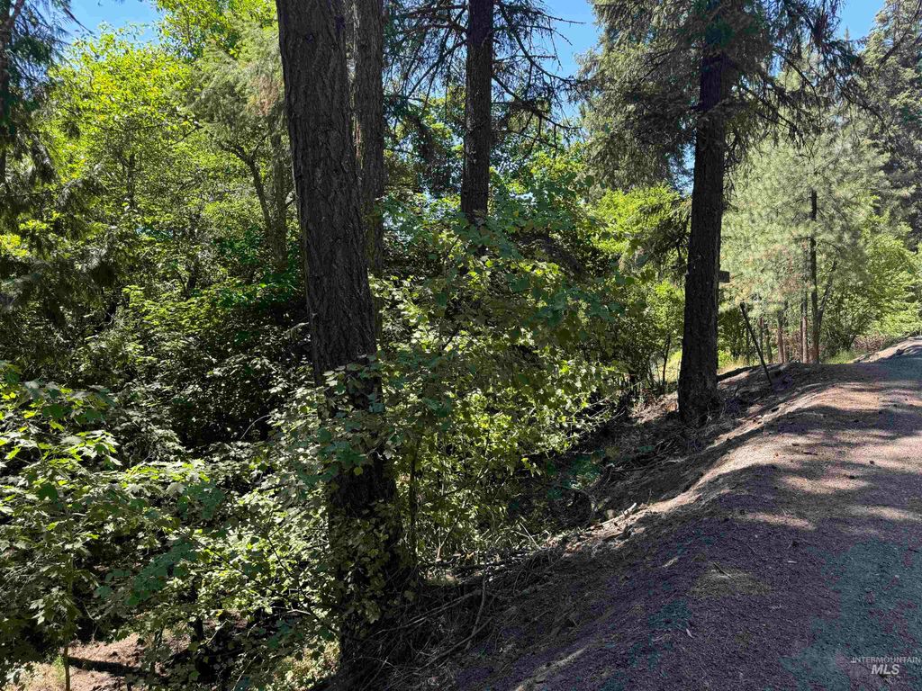 187 Deer Creek Rd, Orofino, ID 83544 photo 6