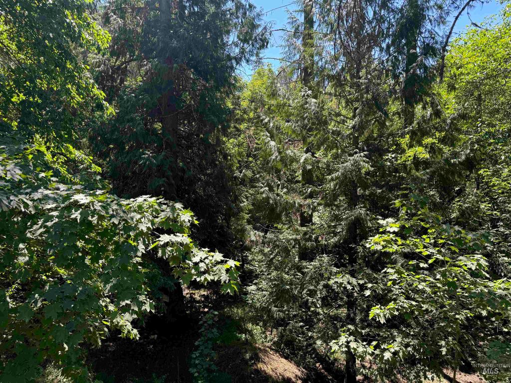 187 Deer Creek Rd, Orofino, ID 83544 photo 7