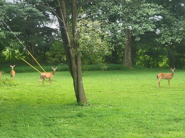 109 Echo Springs Drive, Frankfort, KY 40601