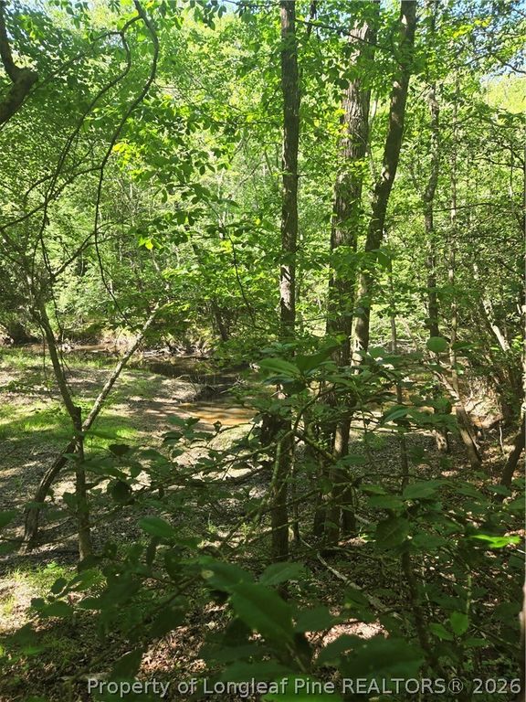 234 Circle Drive, Vass, NC 28394 — photo 2