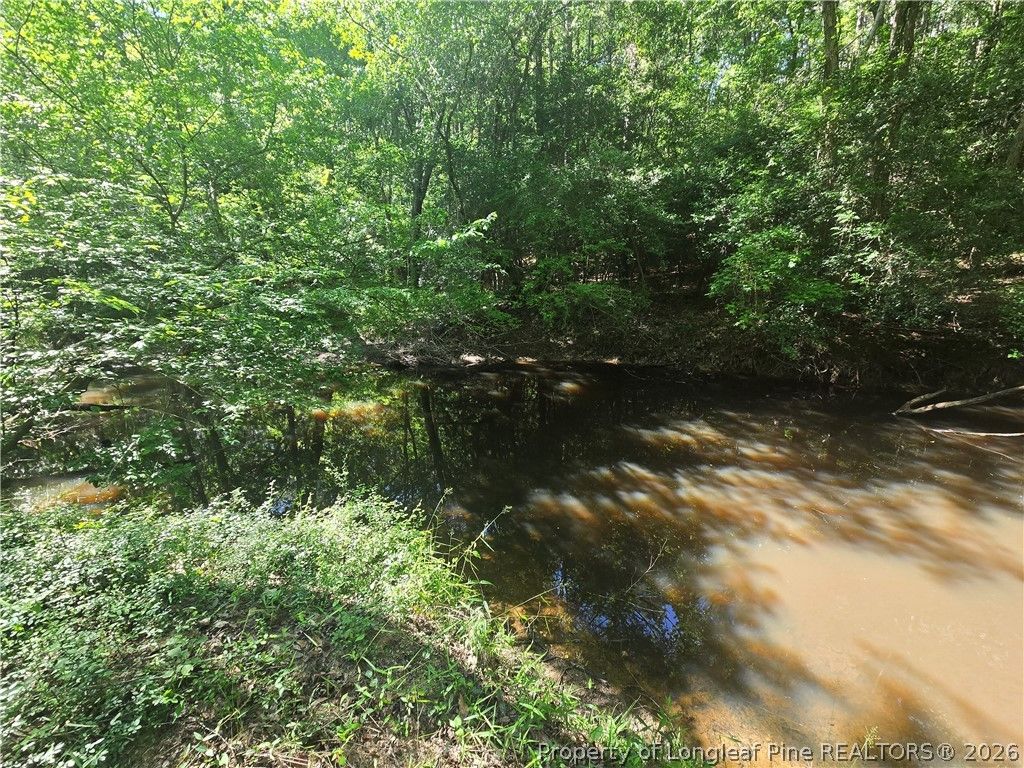 234 Circle Drive, Vass, NC 28394 — photo 3