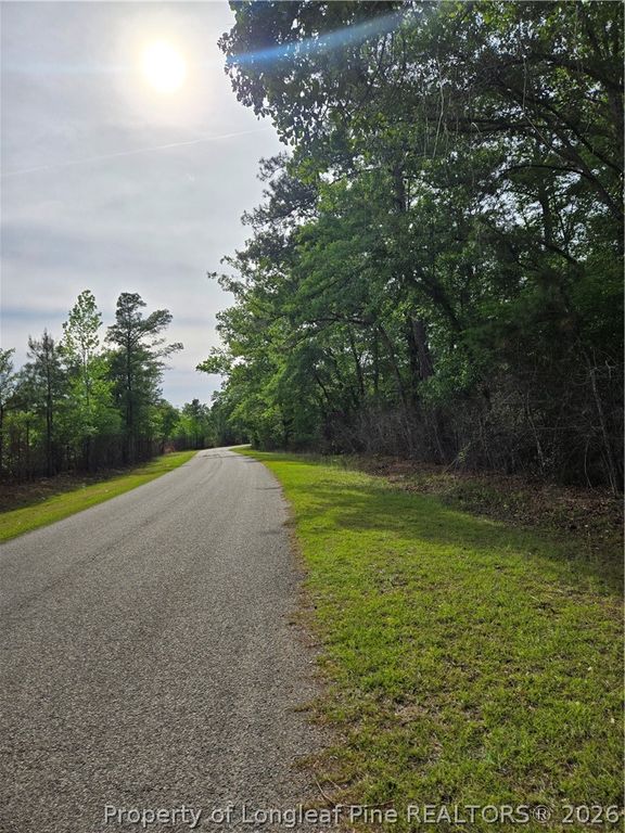 234 Circle Drive, Vass, NC 28394 — photo 4