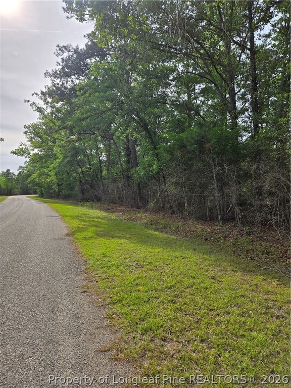234 Circle Drive, Vass, NC 28394 — photo 5